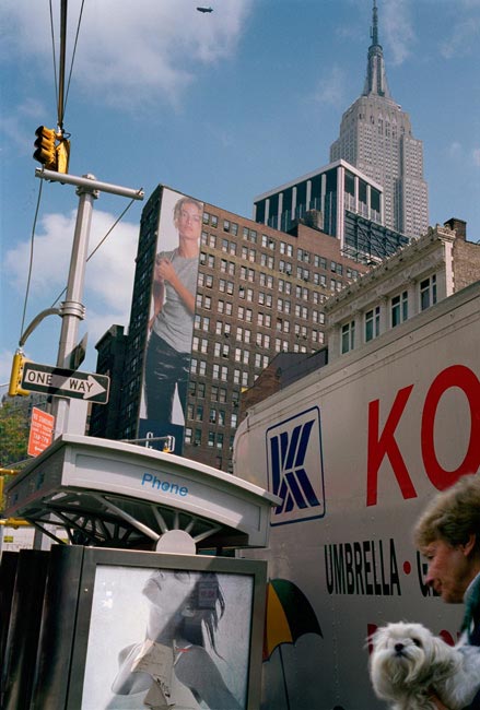 Bichon Fris&eacute;, approaching intersection, NYC, 2001